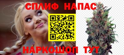 прущие крисы Донской