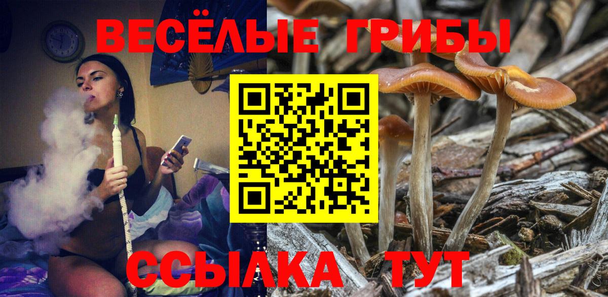 Псилоцибиновые грибы Magic Shrooms  Вход с VPN  Мичуринск 